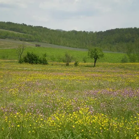 Chiardiluna Pistoia